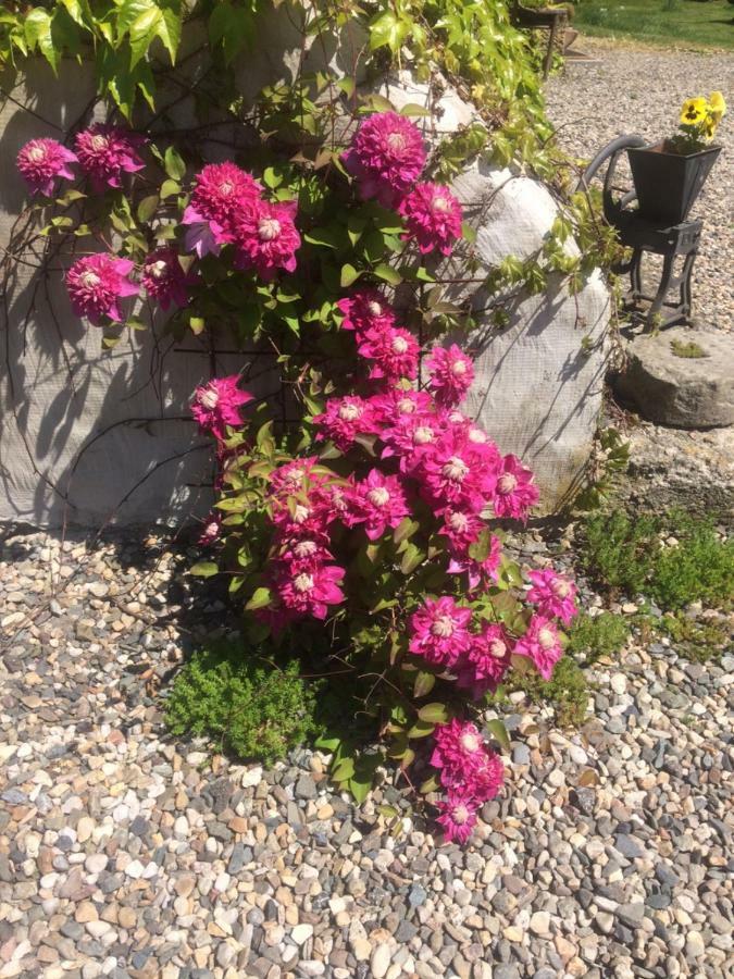 Holiday Home Usedlost Novy Svet Ruzova Buitenkant foto